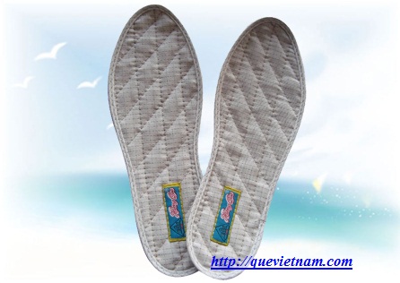 Lót giày tĩnh điện - Công Ty CP Thương Mại & Dịch Vụ Truyền Thông Gia Minh